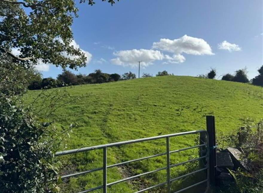 Circa 21 Acres, On The Teconnaught Road, Downpatrick, BT30