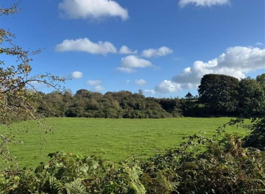 Circa 21 Acres, On The Teconnaught Road, Downpatrick, BT30