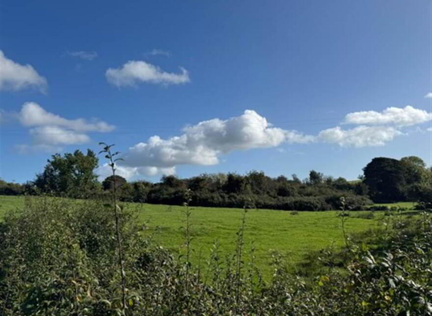 Circa 21 Acres, On The Teconnaught Road, Downpatrick, BT30