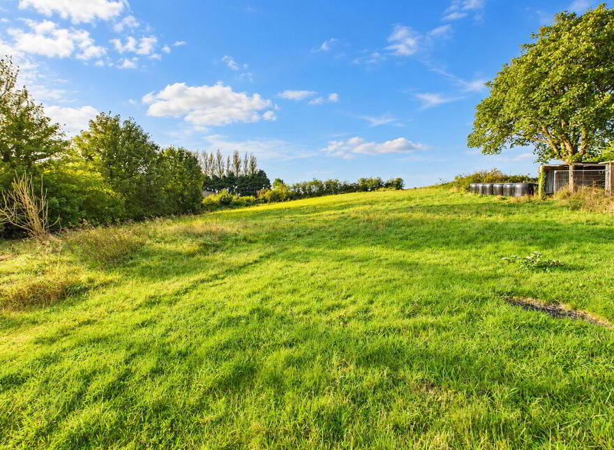 Curraghboy Village, Curraghboy, Lismoyle, N37N289