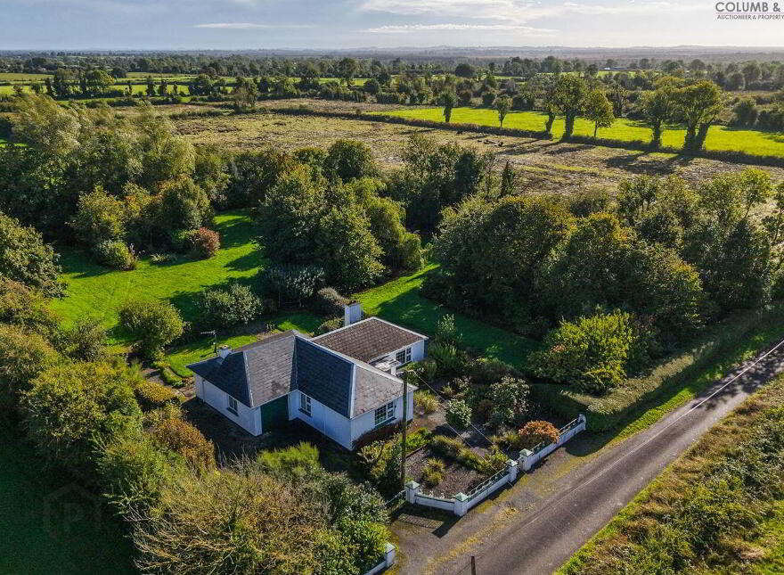 Eglington, Barney, Crossea, N39KP04