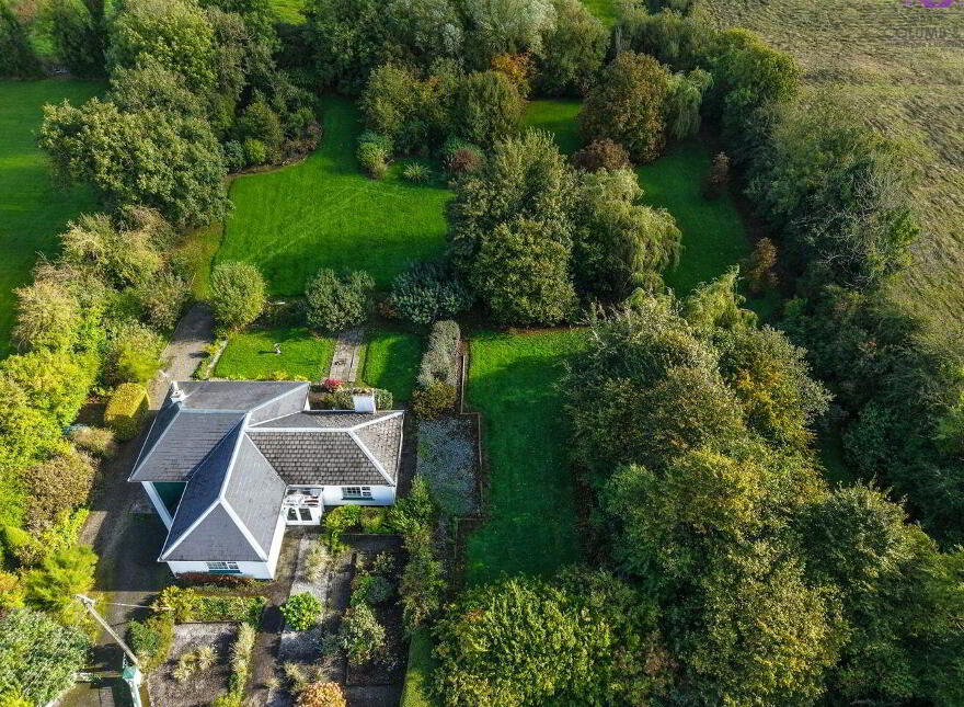 Eglington, Barney, Crossea, N39KP04