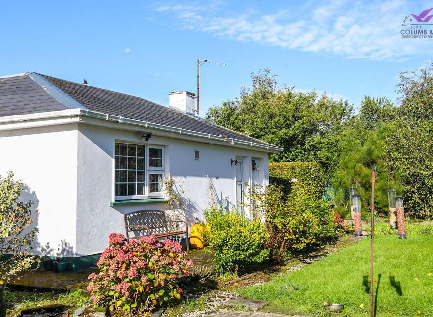 Eglington, Barney, Crossea, N39KP04