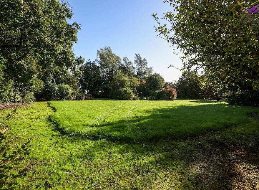 Eglington, Barney, Crossea, N39KP04