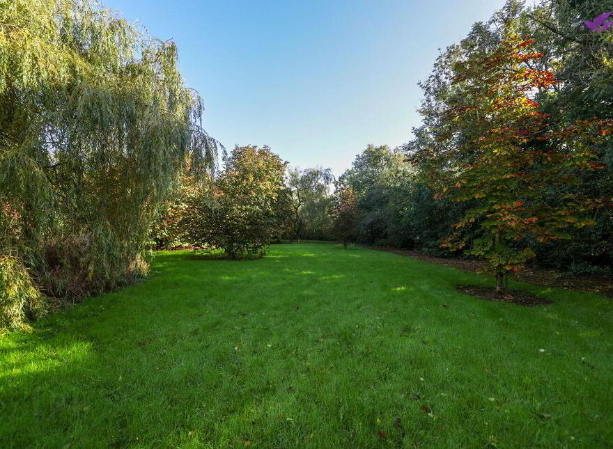 Eglington, Barney, Crossea, N39KP04