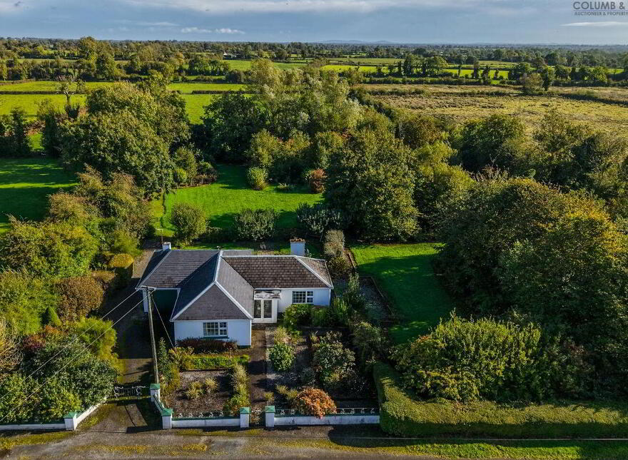 Eglington, Barney, Crossea, N39KP04