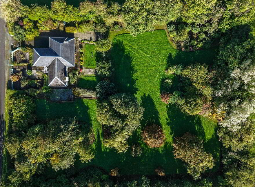 Eglington, Barney, Crossea, N39KP04