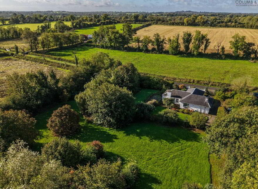 Eglington, Barney, Crossea, N39KP04