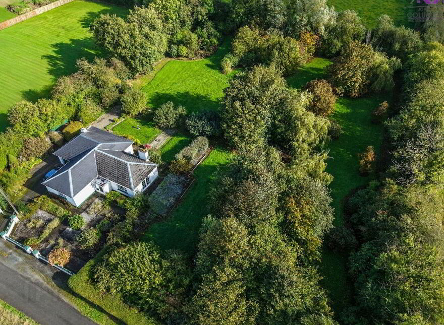 Eglington, Barney, Crossea, N39KP04