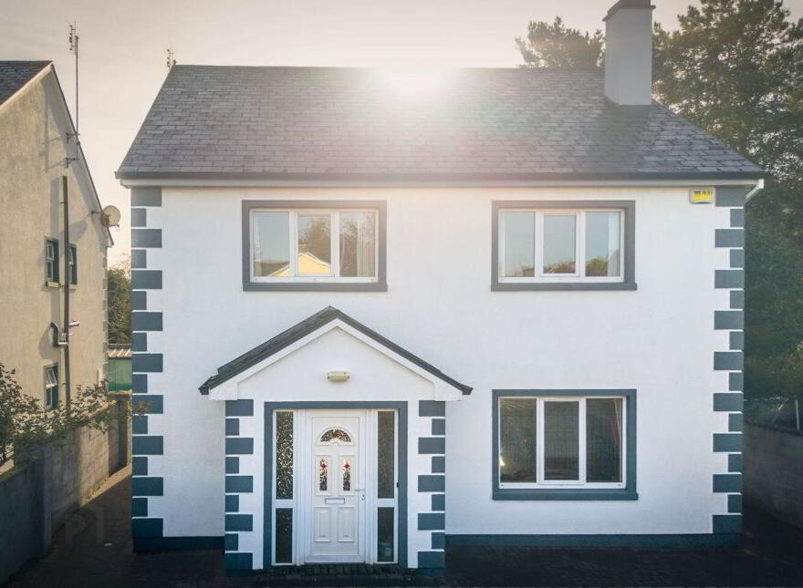 Watson's Lane, Ballinrobe, F31V597