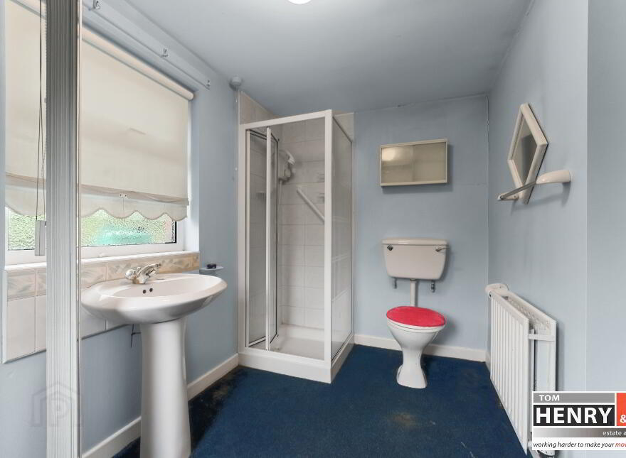 56 Dungannon Road, Coalisland, Dungannon, BT71 4HP