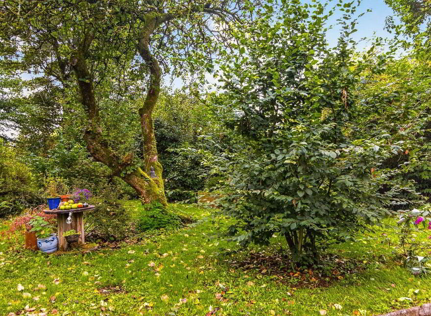 Kilnamonagh, Collooney, F91AE19