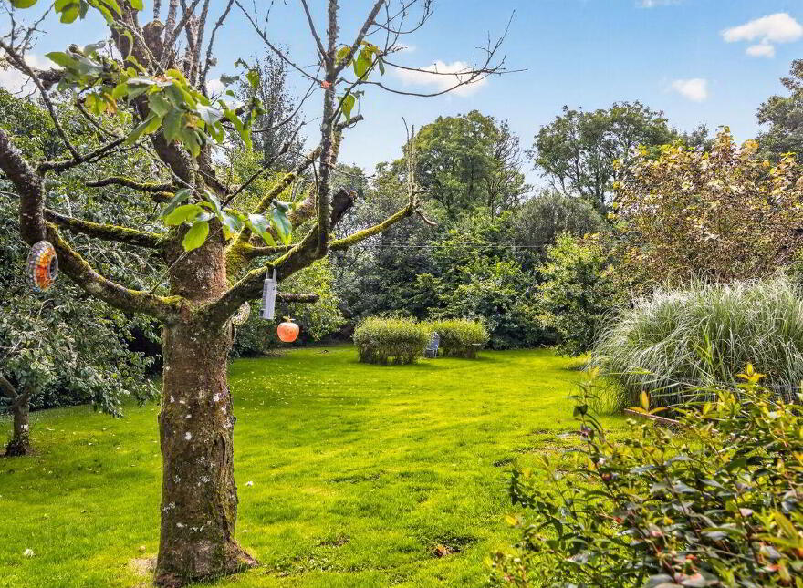 Kilnamonagh, Collooney, F91AE19