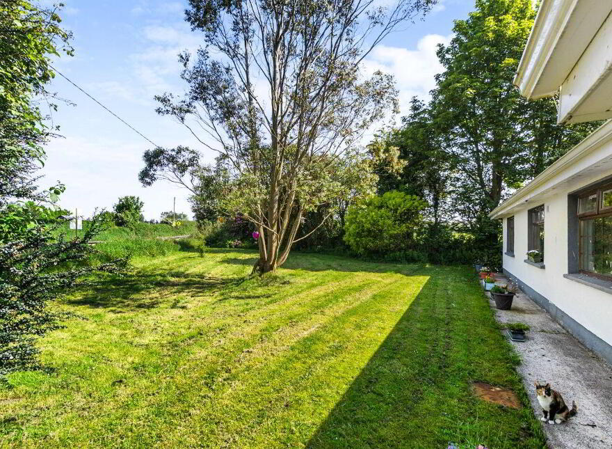 Templeusque, Glanmire, T23WY26