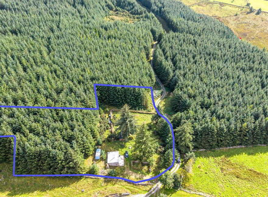 Quintagh, Valleymount, W91AYX6