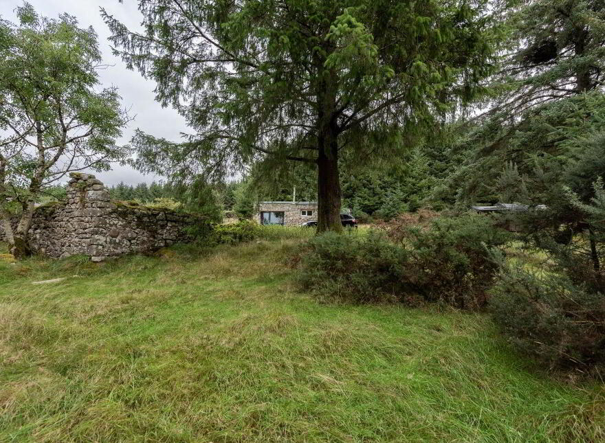Quintagh, Valleymount, W91AYX6