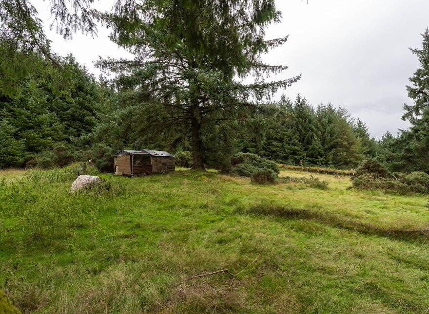 Quintagh, Valleymount, W91AYX6