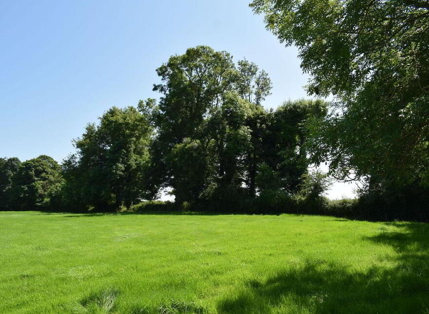 Kishikirk, Ballysimon