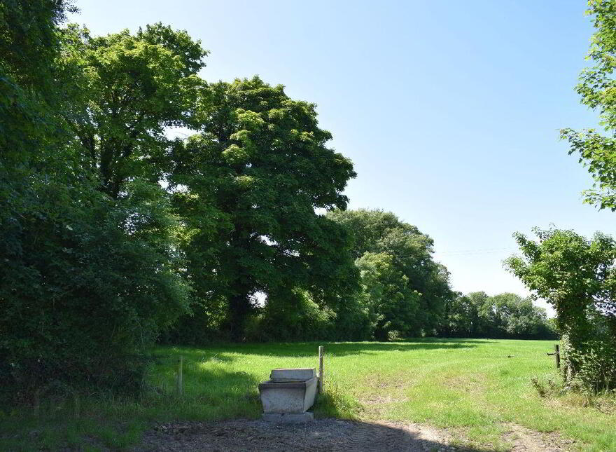 Kishikirk, Ballysimon