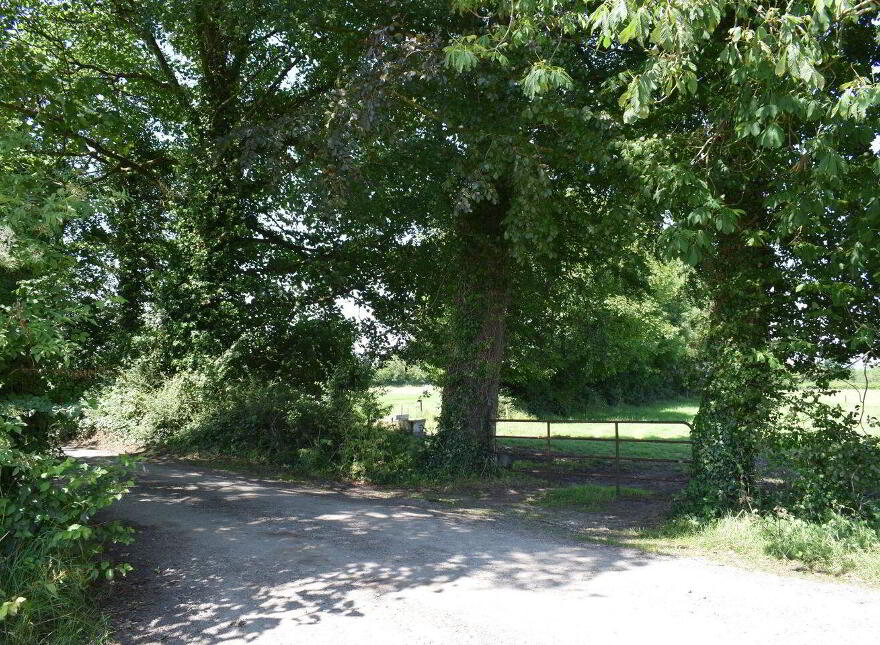 Kishikirk, Ballysimon
