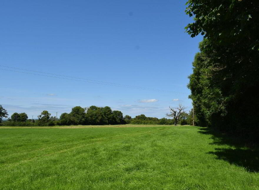 Kishikirk, Ballysimon