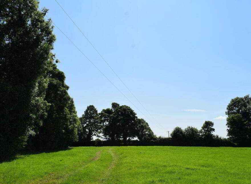 Kishikirk, Ballysimon