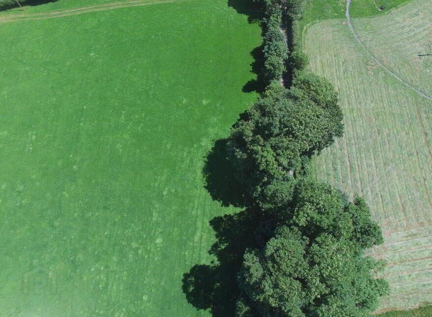 Kishikirk, Ballysimon