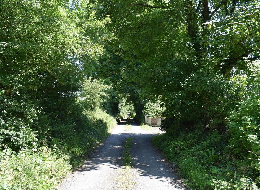 Kishikirk, Ballysimon