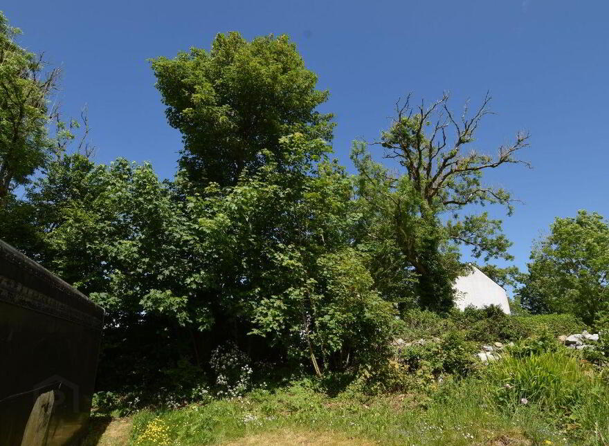 Rose Thatch Cottage, Roveagh, Kilcolgan, H91WEP9