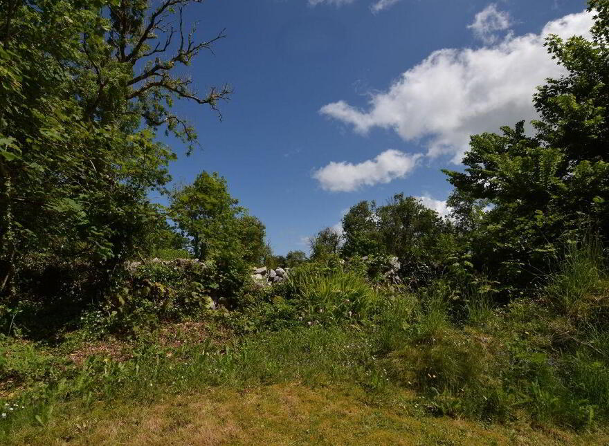 Rose Thatch Cottage, Roveagh, Kilcolgan, H91WEP9