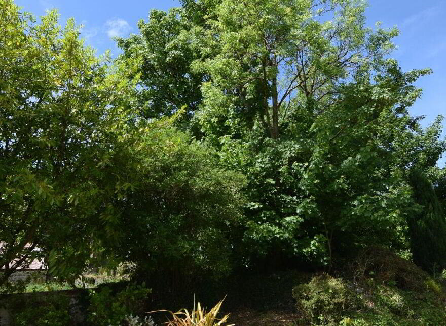 Rose Thatch Cottage, Roveagh, Kilcolgan, H91WEP9