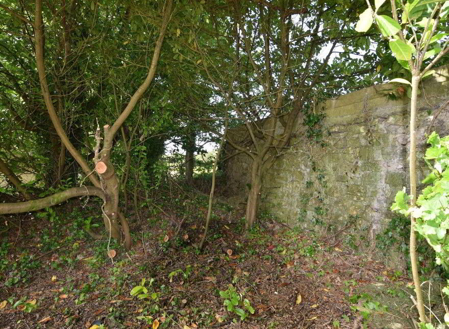 Rose Thatch Cottage, Roveagh, Kilcolgan, H91WEP9