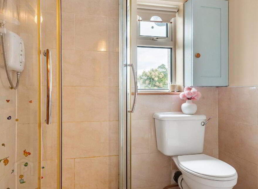 1 Stepaside Villas, Stepaside, Stepaside, D18R9Y3