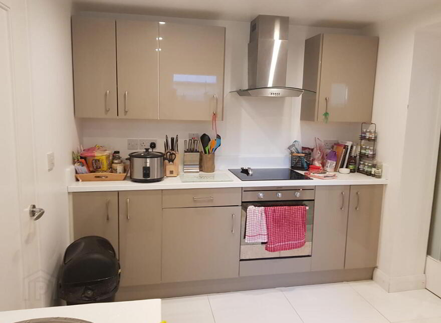 45 Moonstone Street, Belfast, BT9 7HL