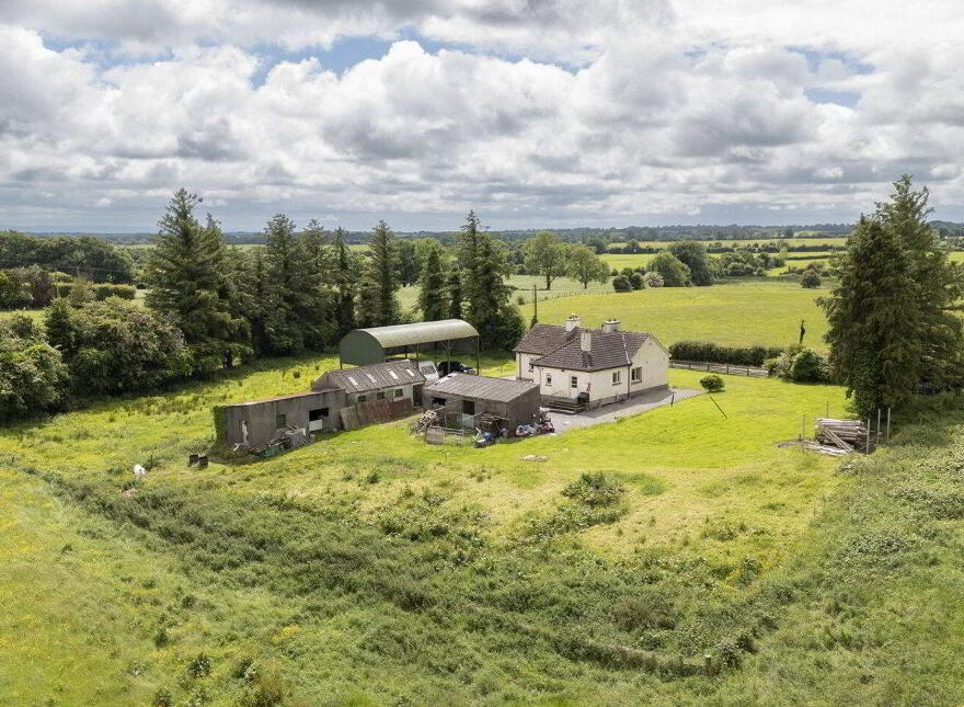 Bryanstown, Ballinea, Dysart, N91H0F1