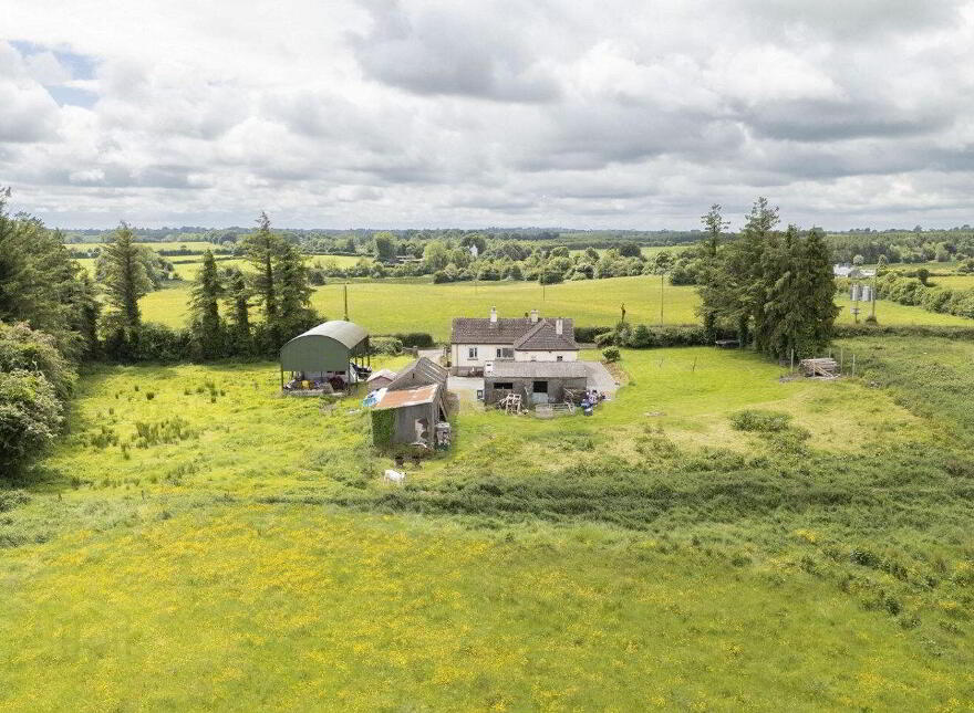 Bryanstown, Ballinea, Dysart, N91H0F1