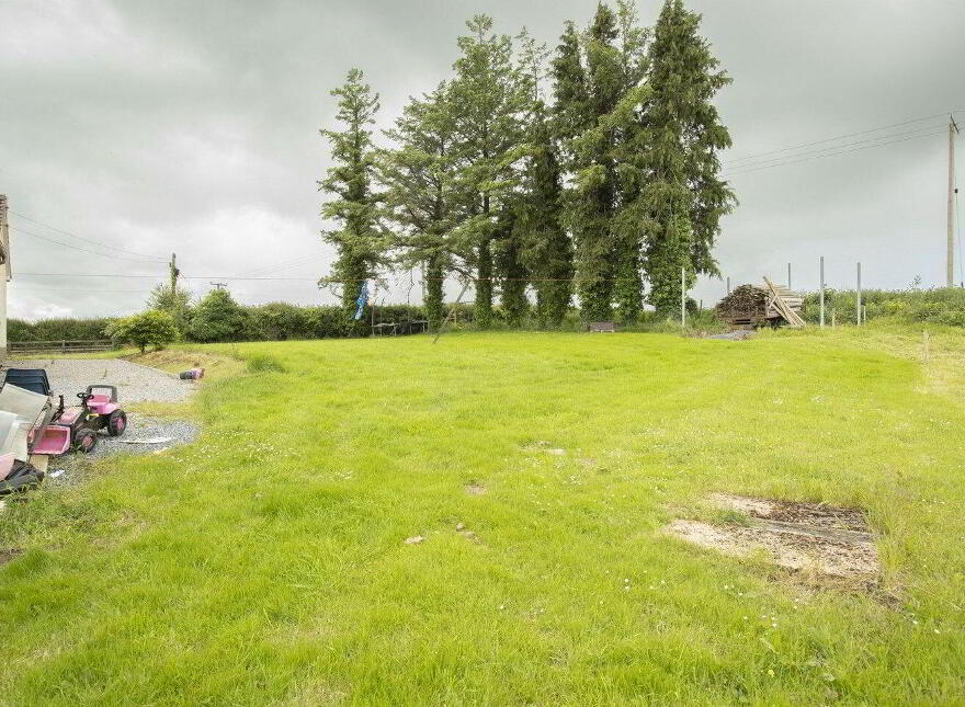 Bryanstown, Ballinea, Dysart, N91H0F1