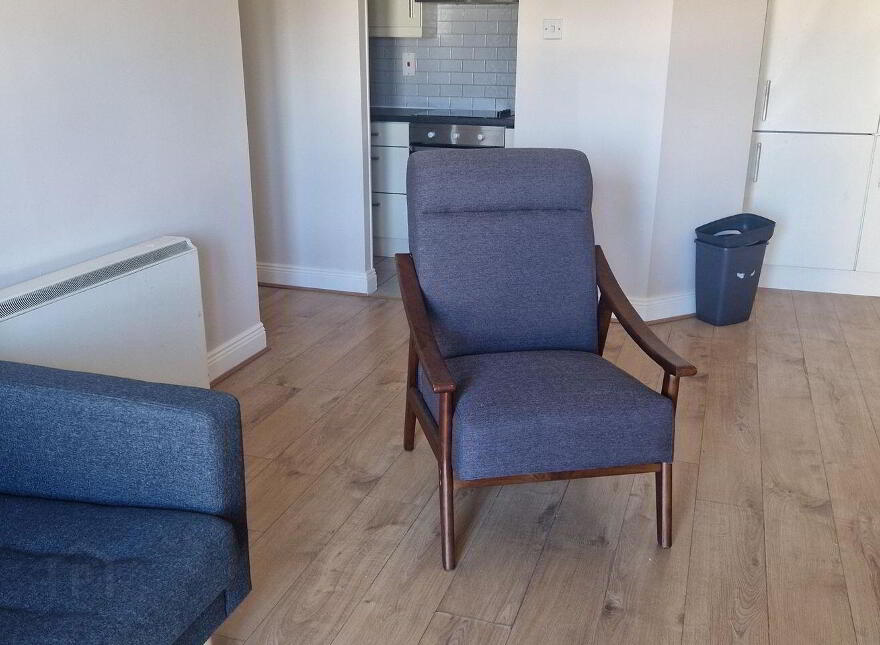 Apartment 30 55 Mountjoy Square, Dublin 1, D01KP71