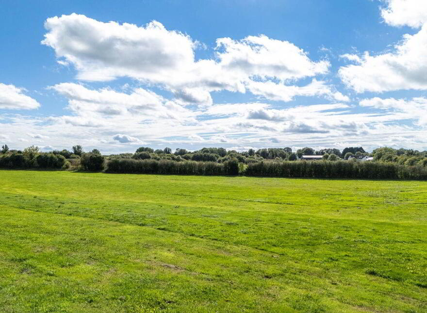 Bracklin Little, Kilbeggan