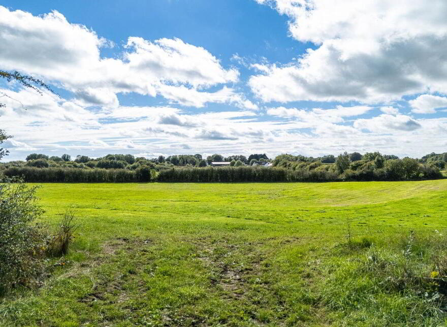 Bracklin Little, Kilbeggan