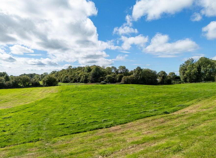 Bracklin Little, Kilbeggan
