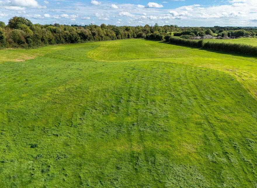 Bracklin Little, Kilbeggan