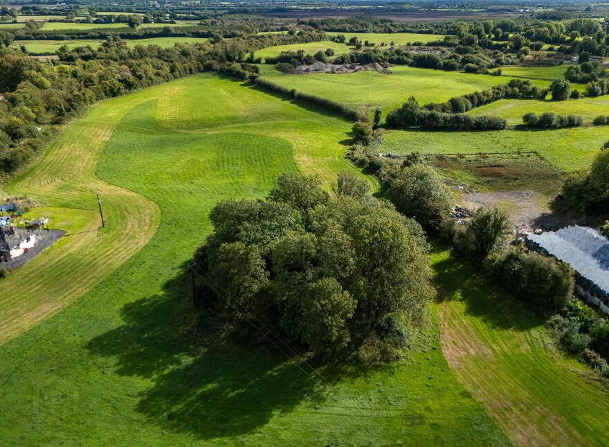Bracklin Little, Kilbeggan