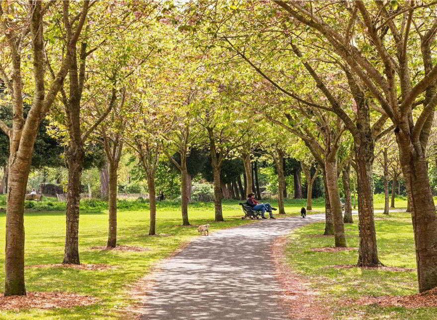 Parkview, Clyde Lane, Ballsbridge, Ballsbridge, D04X0F1