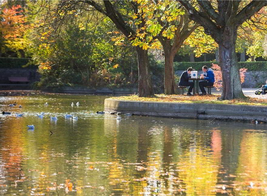 Parkview, Clyde Lane, Ballsbridge, Ballsbridge, D04X0F1