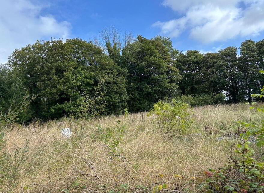 Bloomfield, Hollymount, F12AH73