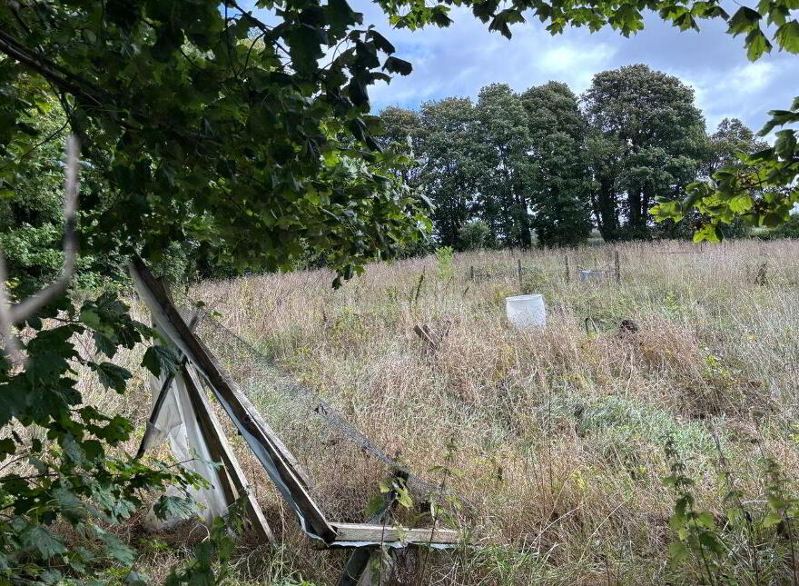 Bloomfield, Hollymount, F12AH73