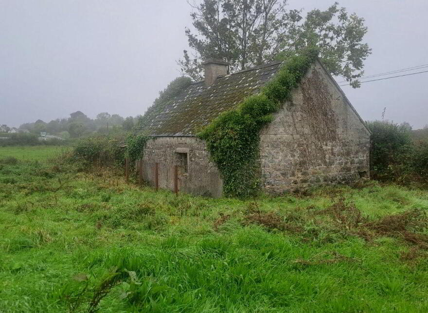 Ballinahowna, Mountbellew