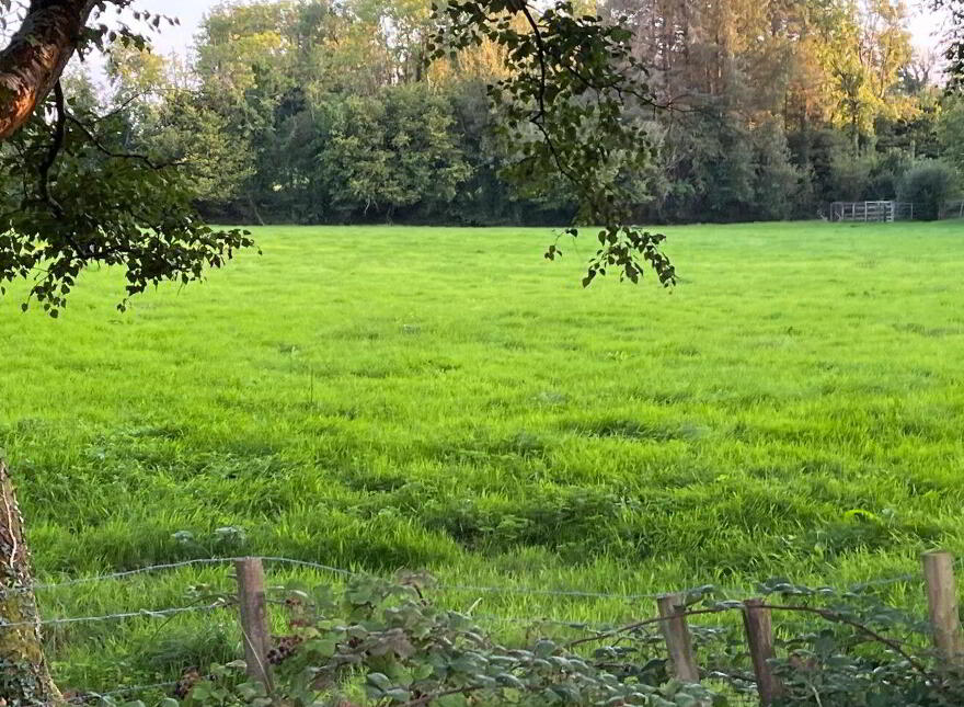 Lemonfield, Oughterard