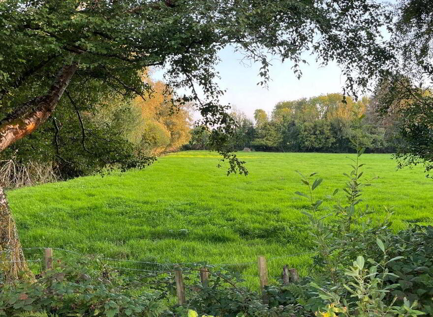 Lemonfield, Oughterard